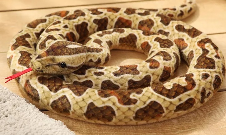 Brown snake - Animals