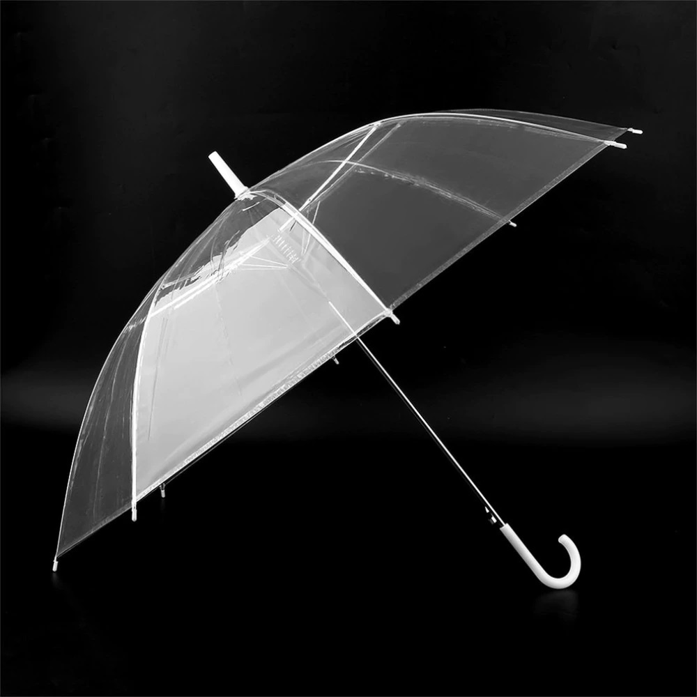 Transparent Umbrella