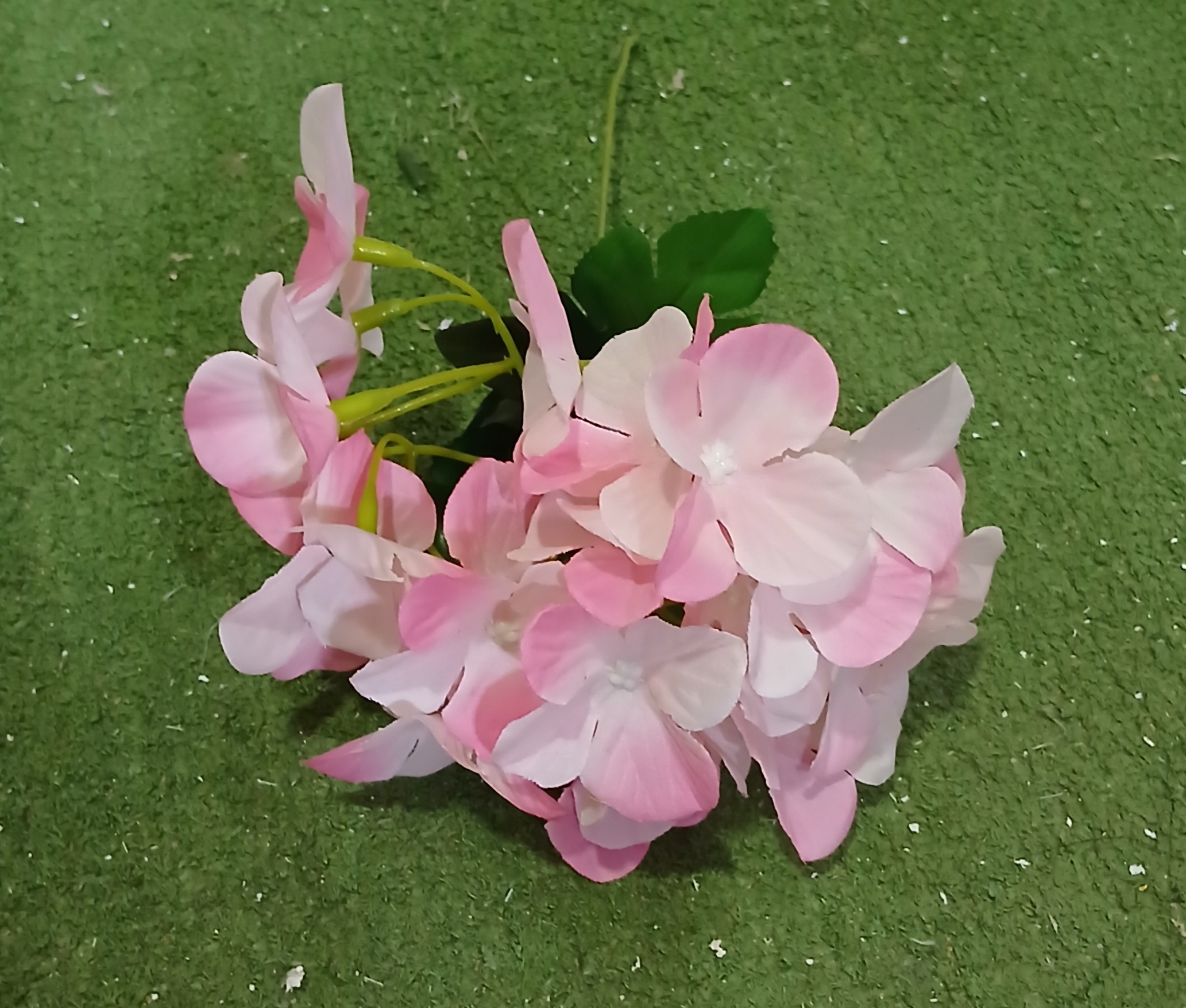 Light Pink Single Flower