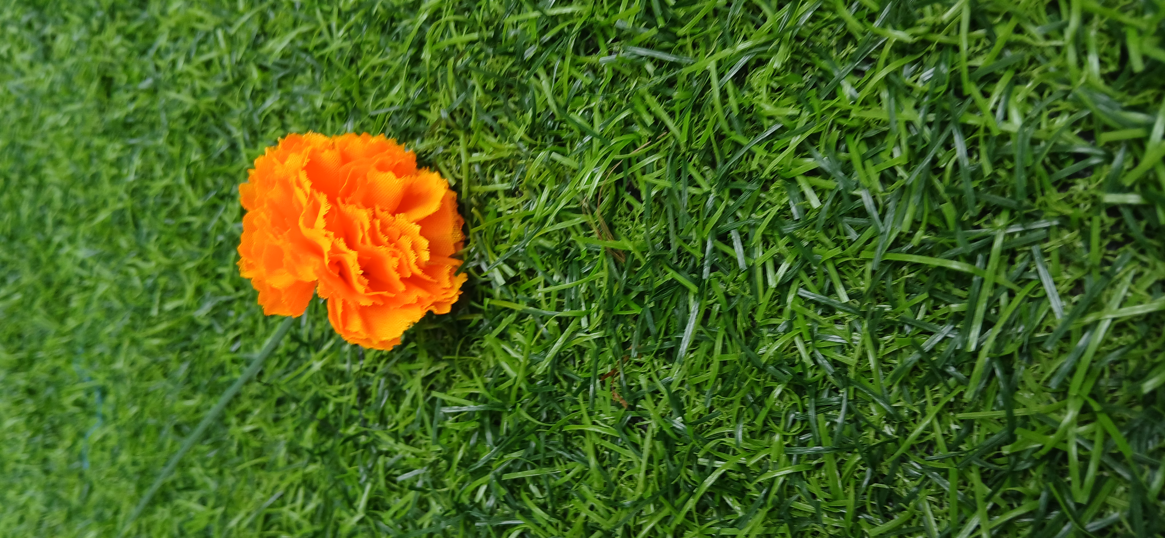 Single Flower Dark Orange