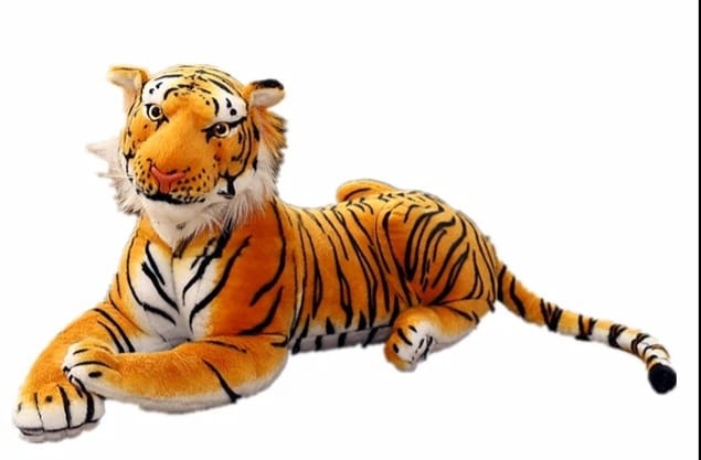 medium tiger orange- Animals