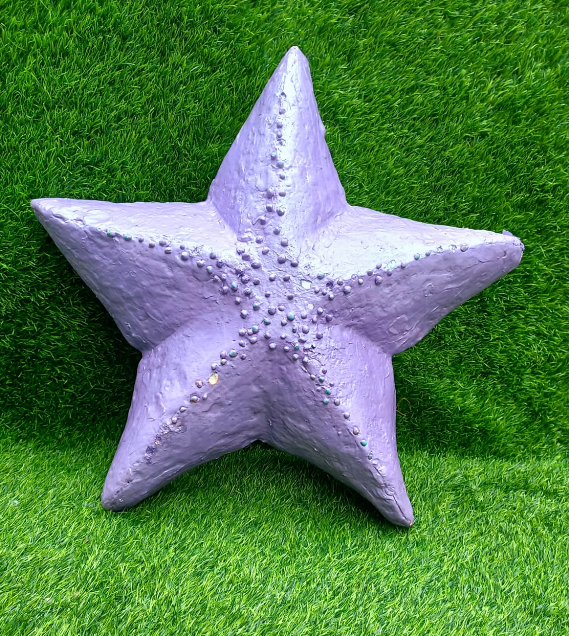 Purple starfish D 22