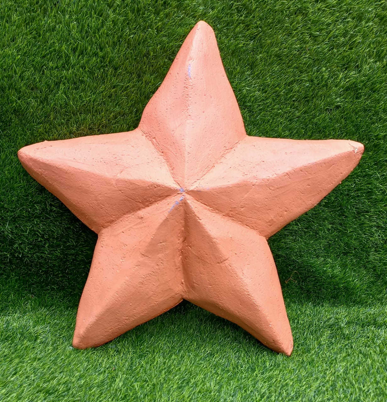 Orange star fish D 23