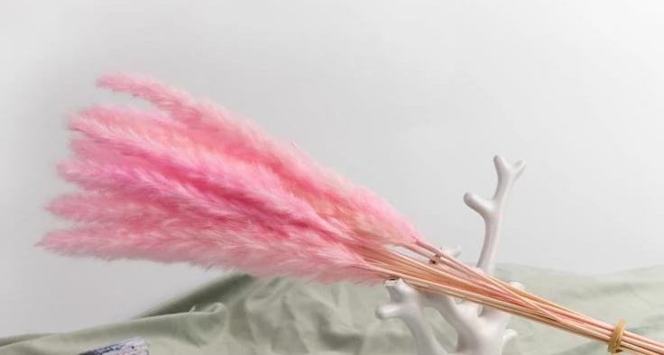 Fox tail peach/pink