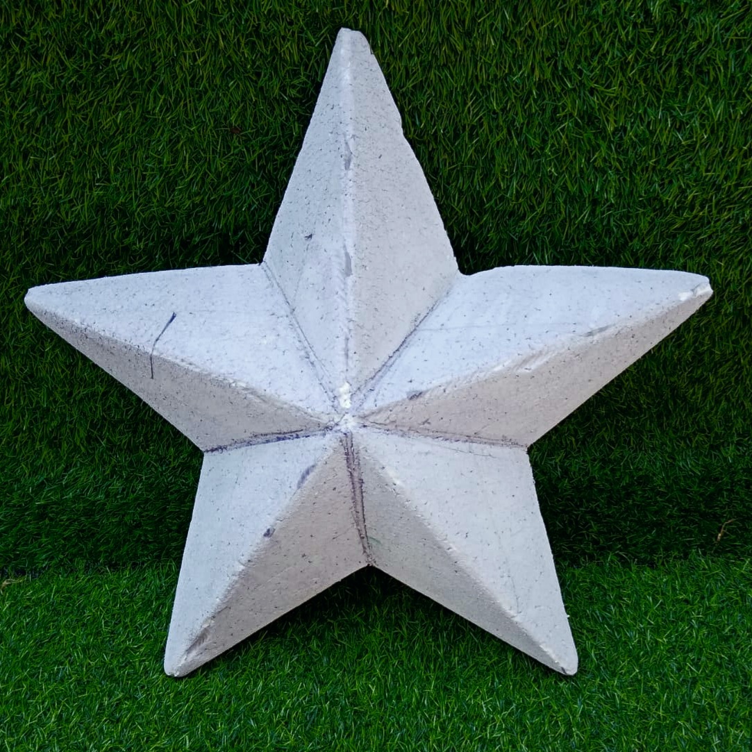 Lavender star fish-Sea