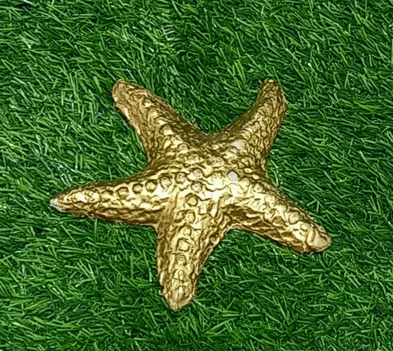 L 6 (starfish)