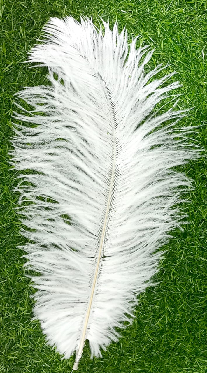 Feather 12