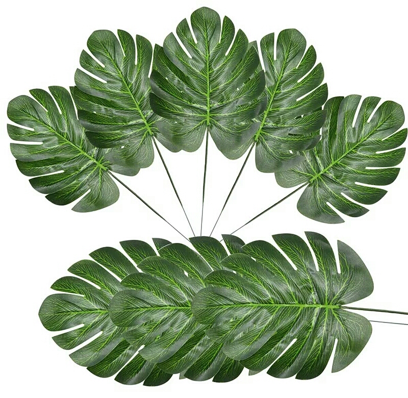 green turtle leaves with stem