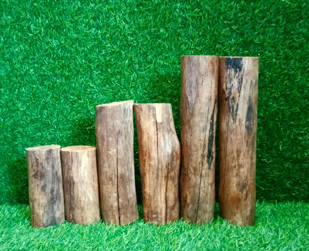 6 pcs stump prop