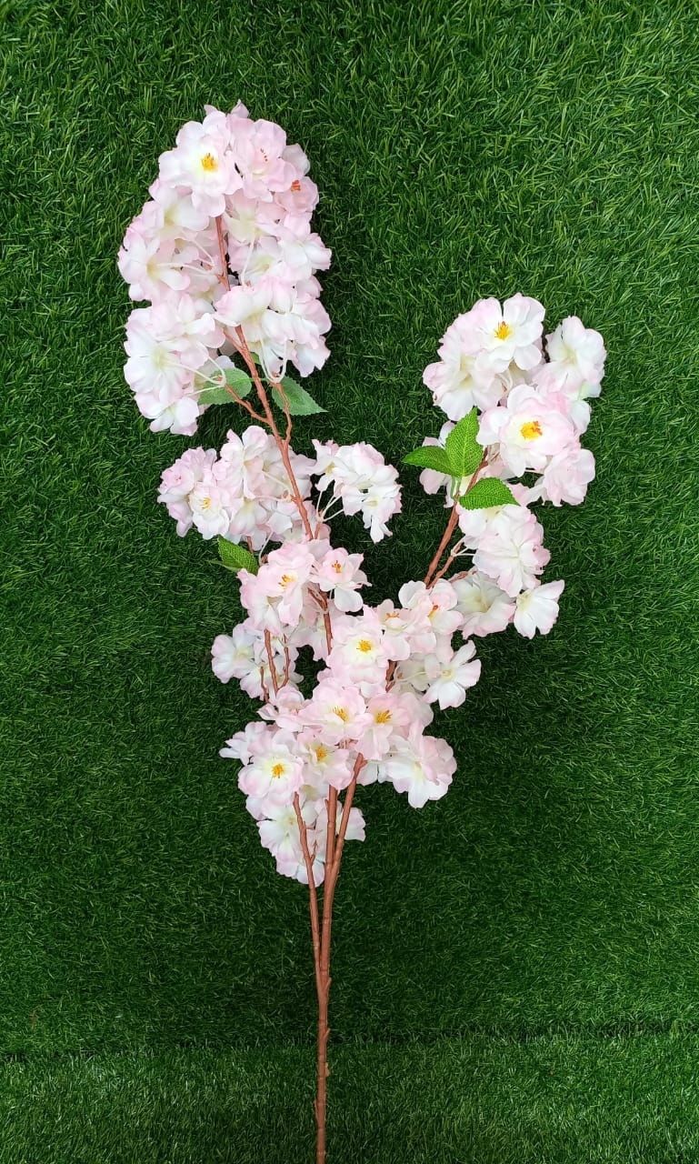 cherry blossom pink flower