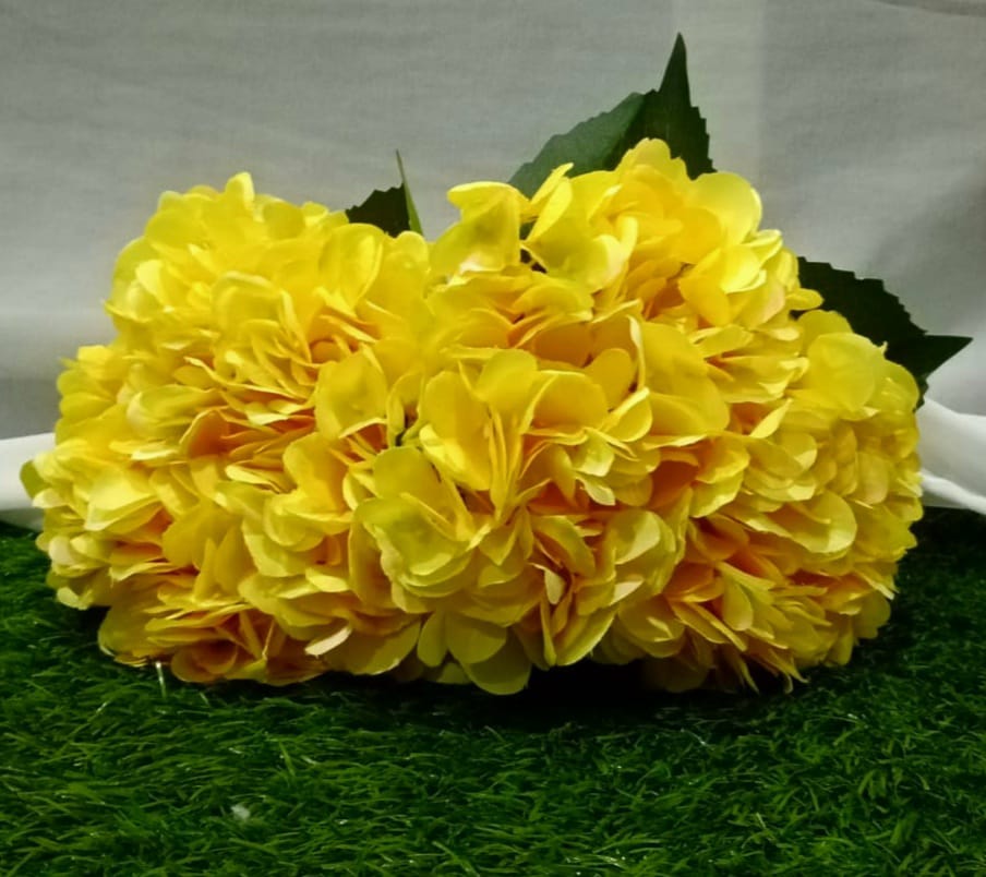 Yellow Hydrangea flower