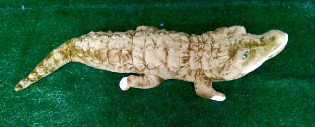 Large Crocodile green-Animals