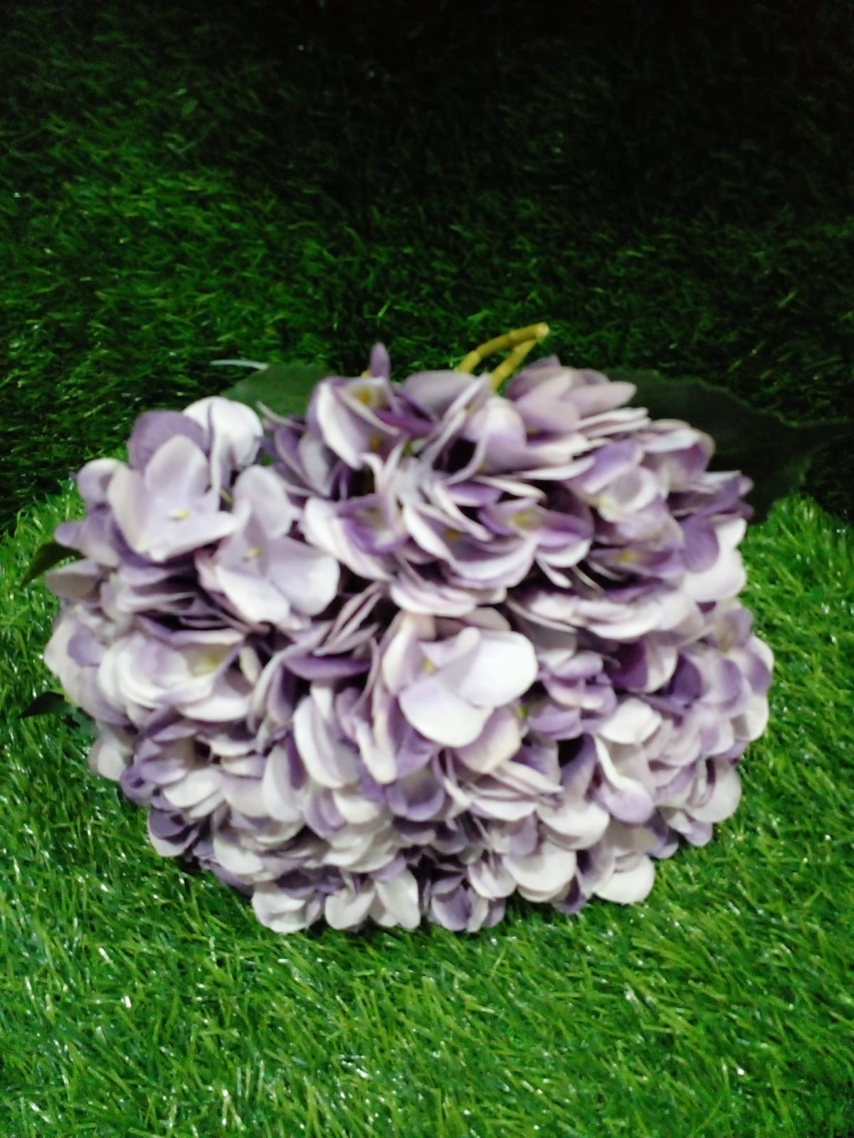 Purple Hydrangea flowers
