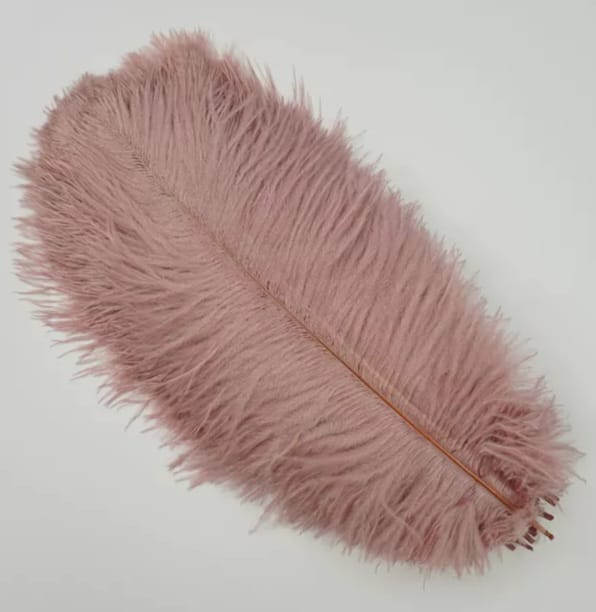 Dull Pink Feathers