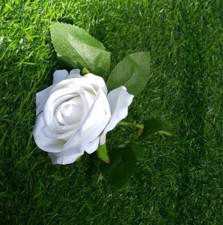 single rose white medium with leaf