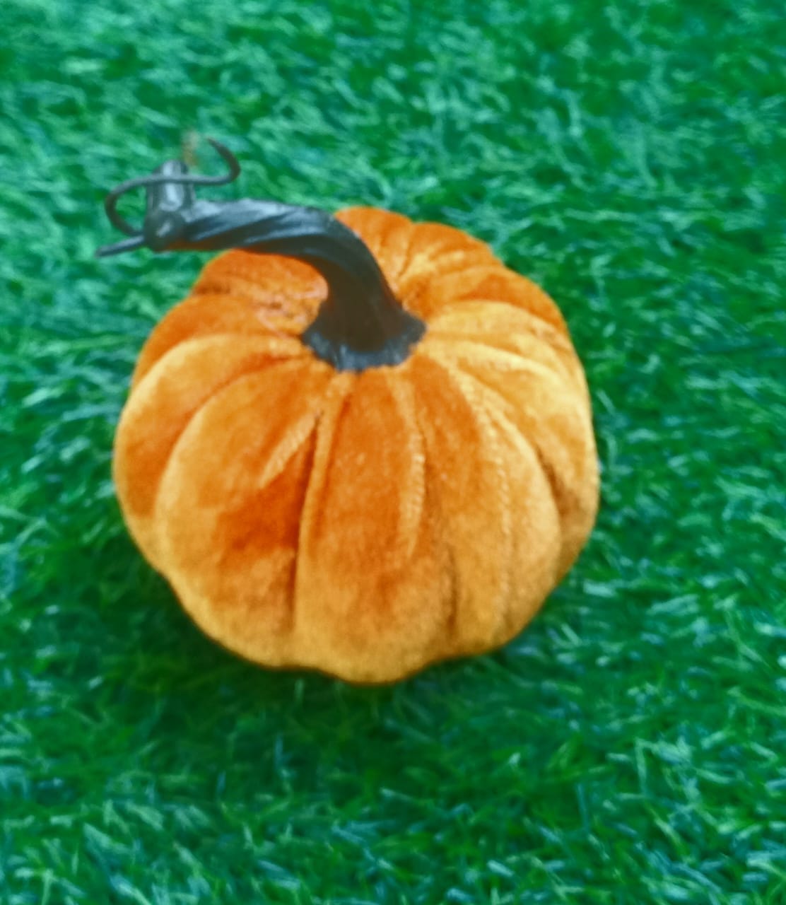 Medium Orange Pumpkin - Veggie
