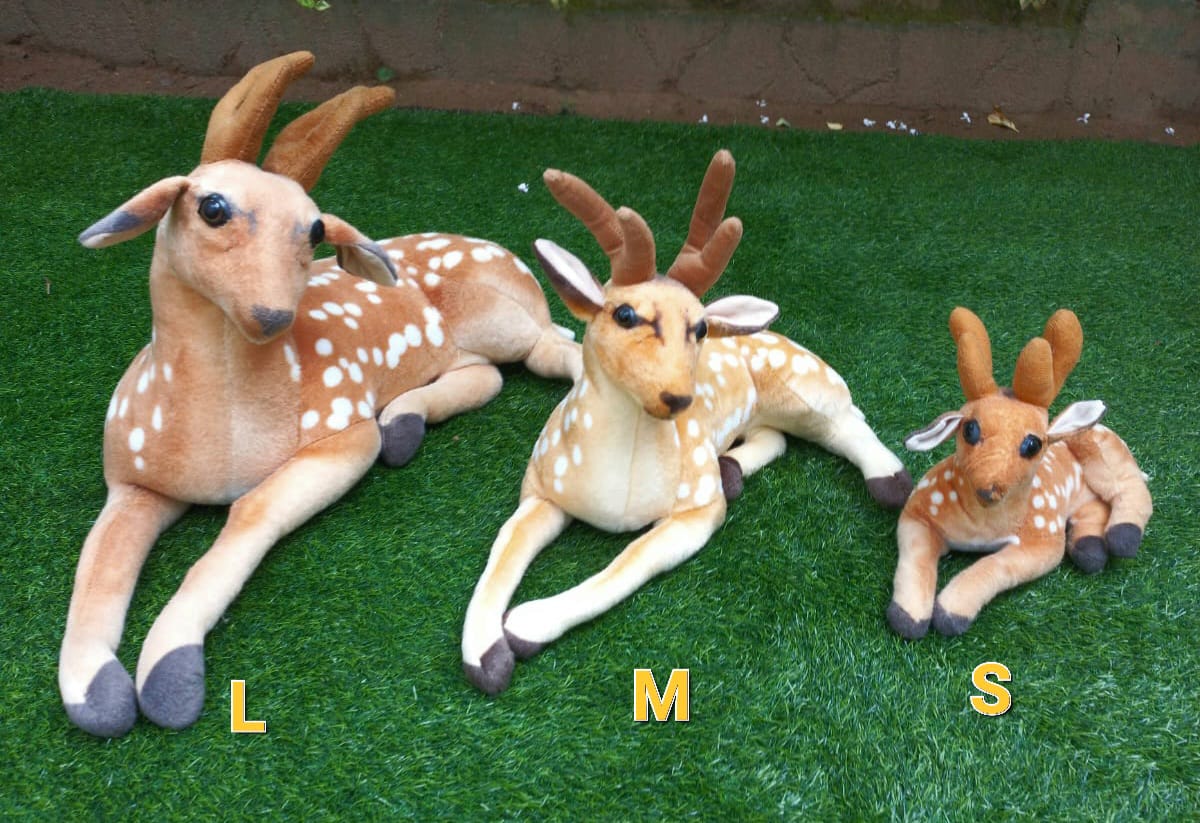 Deer Medium - Animals