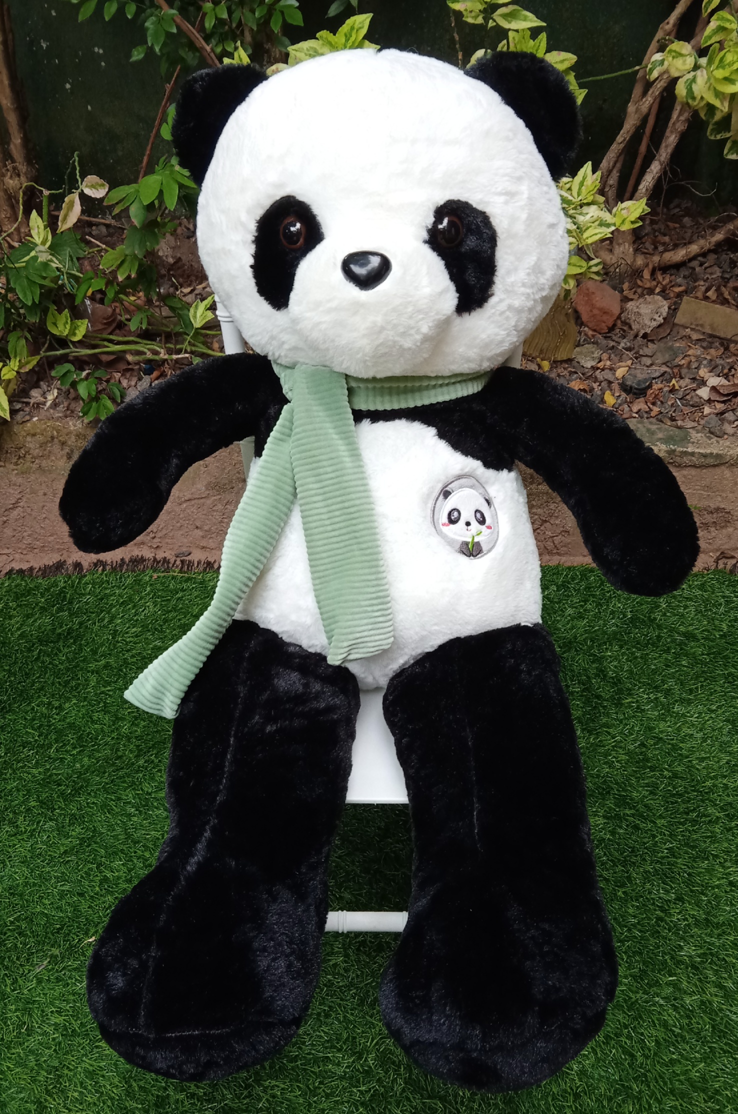 Panda Bear - Teddy