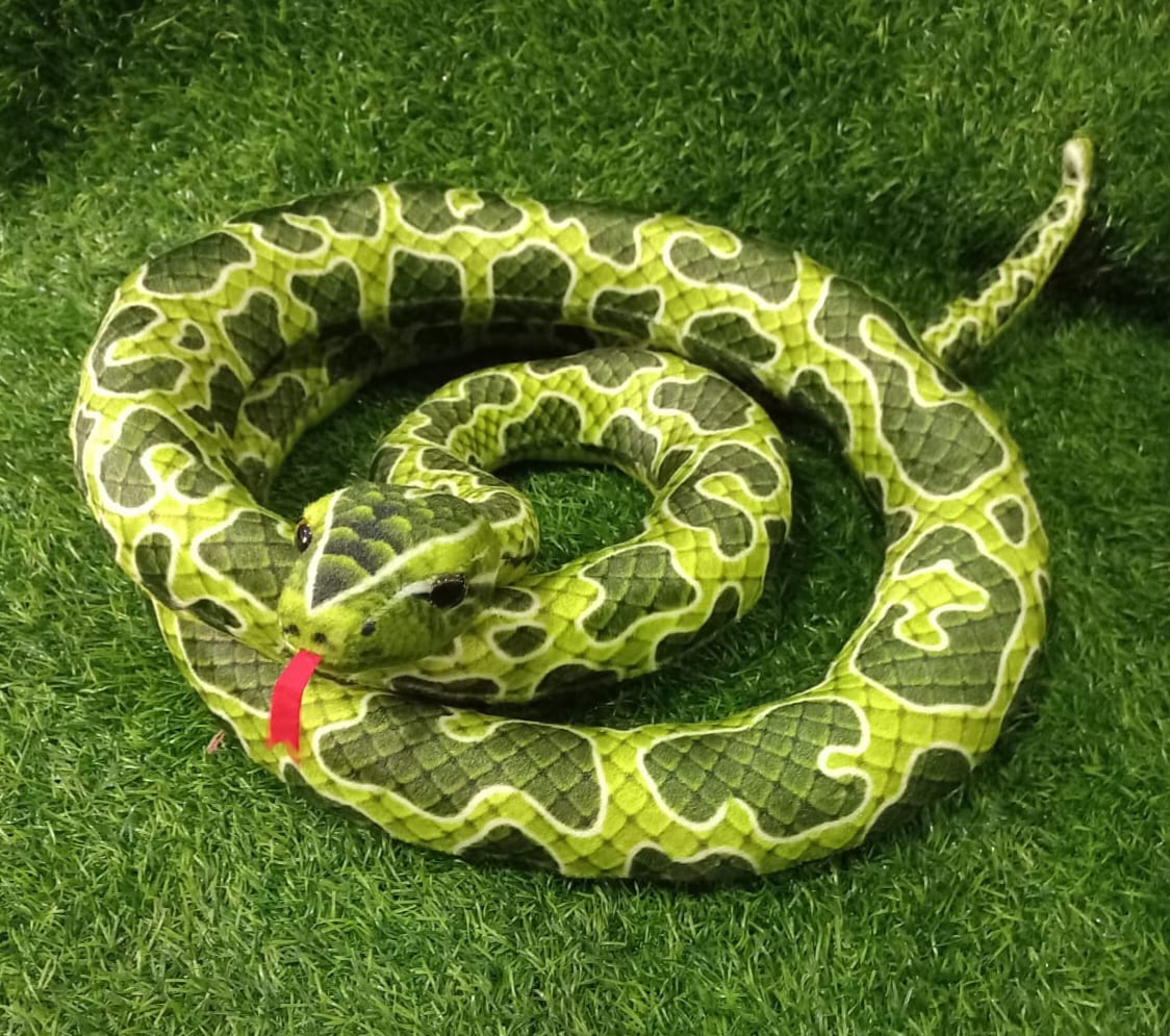 Green snake - Animals