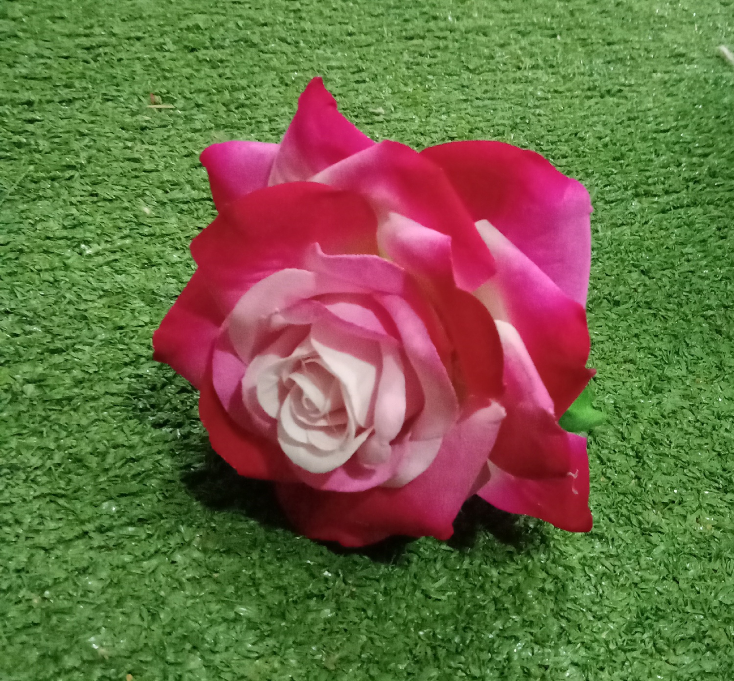 Single Rose Pink Mix Flower