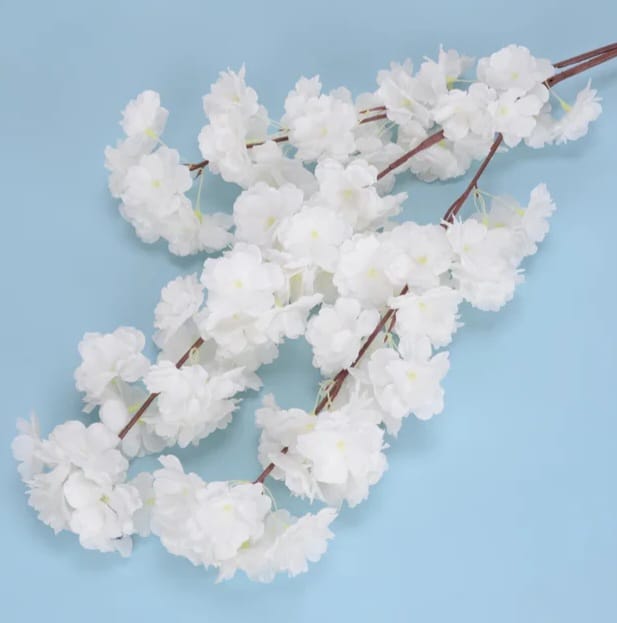 Cherry Blossom White Flower