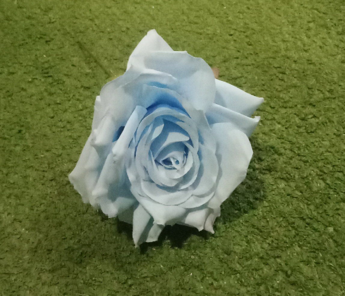 Single Rose Blue Flower
