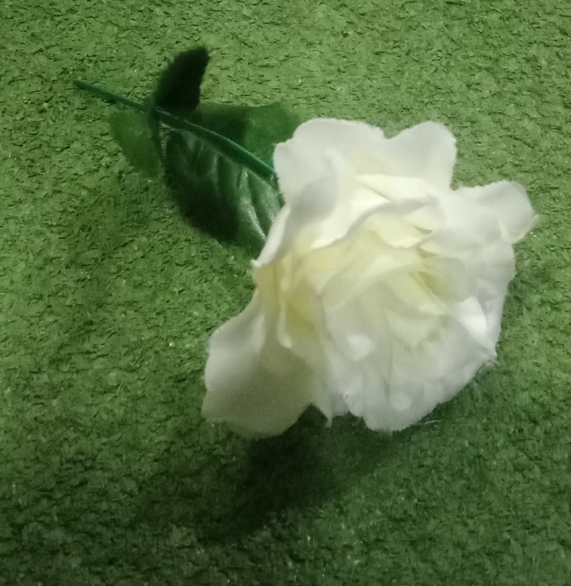 Single White Flower