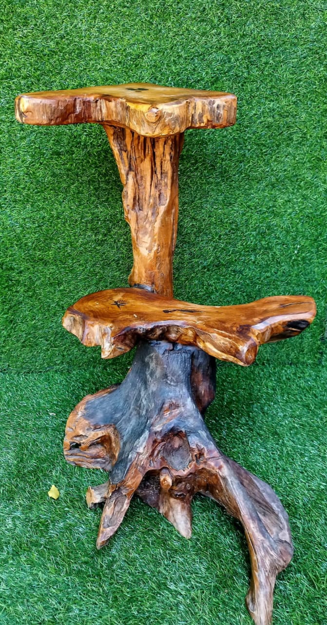 Wooden Mushroom Design 1