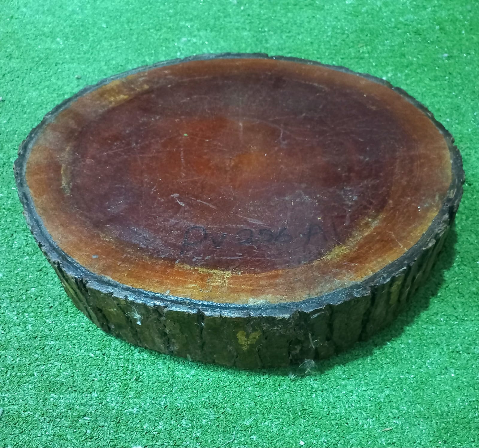 Thick 11 inch Log slices