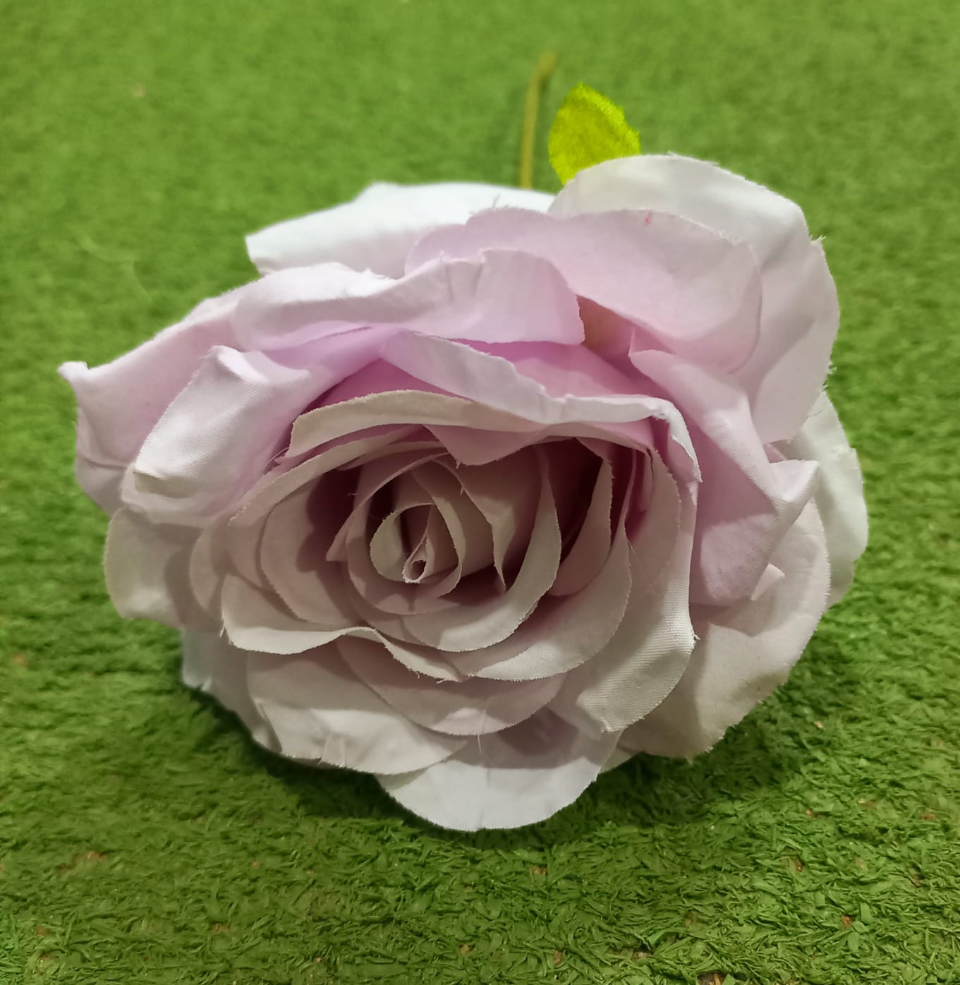 Single Rose Purple Flower