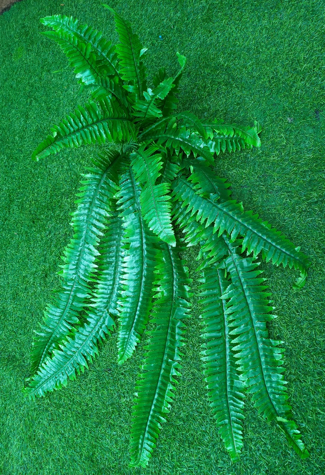 Fern Leaves Bunch Large