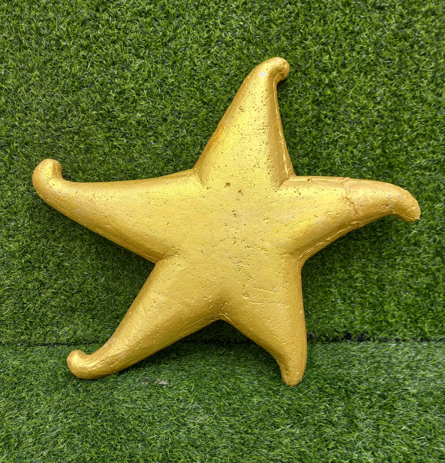 Gold Star fish-Sea