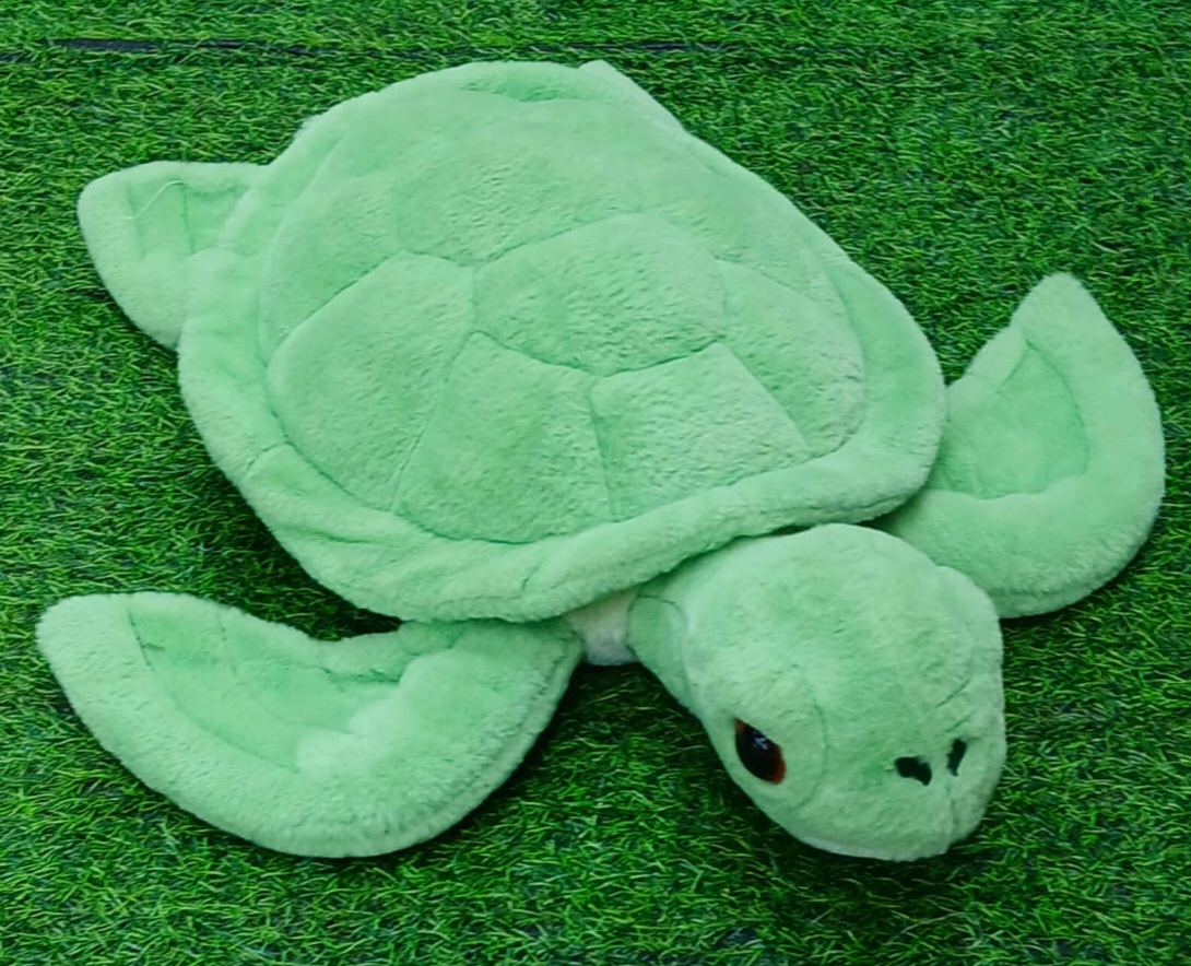 Green Turtle - Soft Toy - Animals