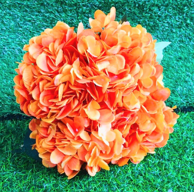 Orange Hydrangea Flower