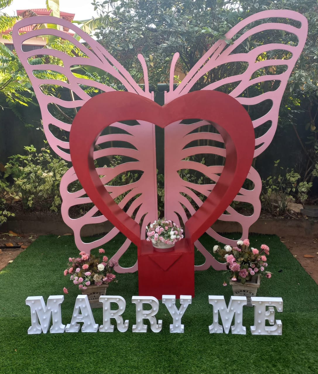 Butterfly / proposal/ marry me/ red/ pink Theme 05