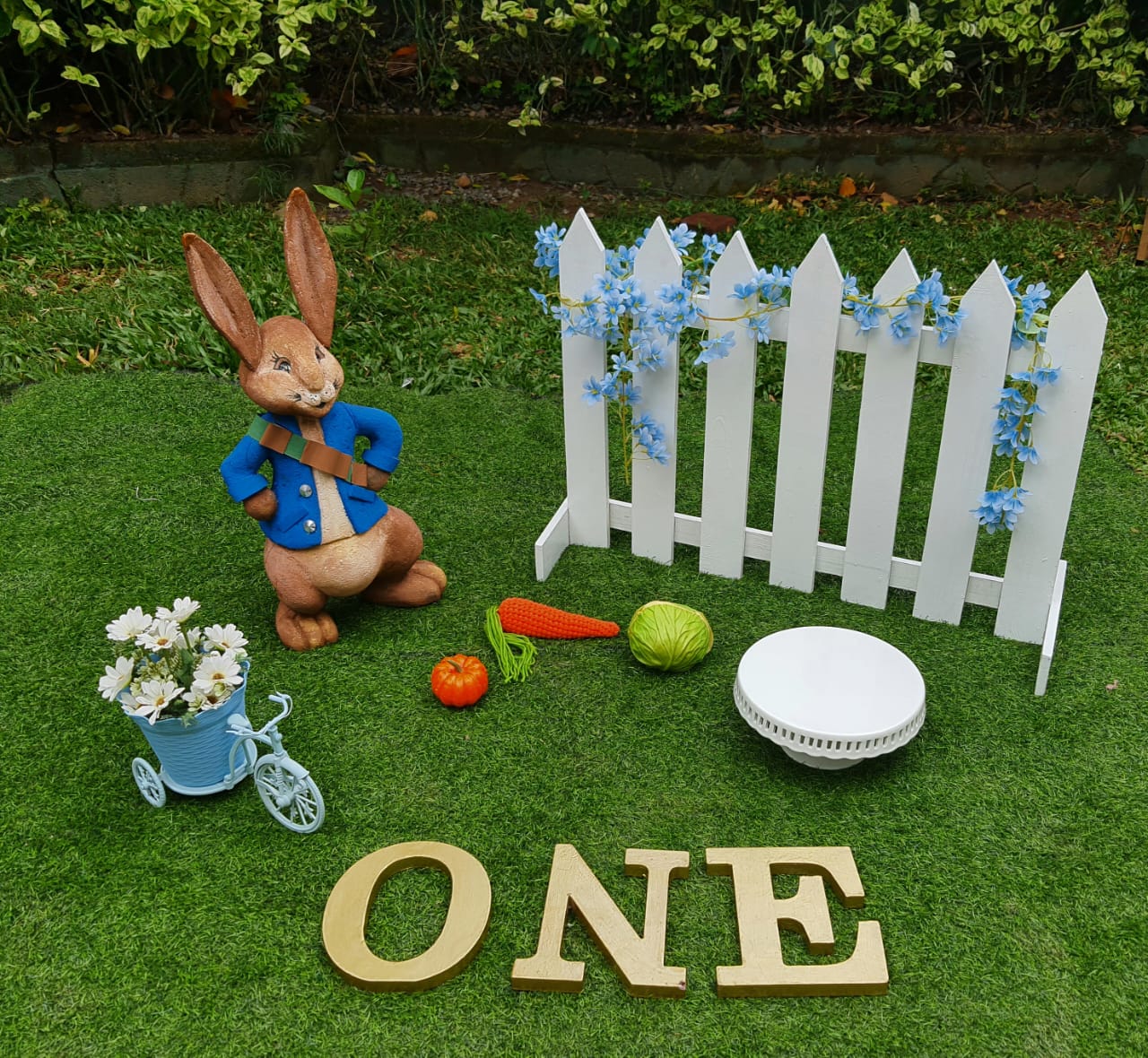 Peter Rabbit Setup 02